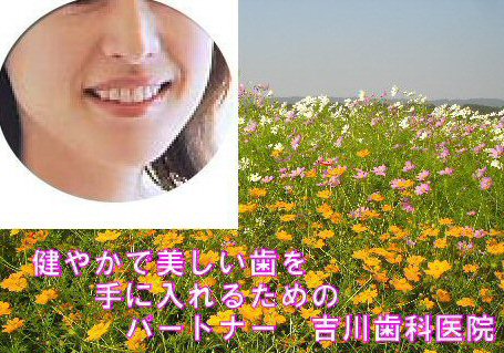 ��錧�߉ώs�̎��Ȉ�@�g�쎕�Ȉ�@